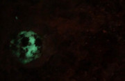 Artemis 1.2017 Glowing in the Dark
