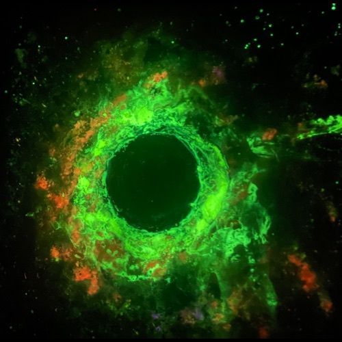 Black-Hole-9.2023-Glowing-in-the-Dark