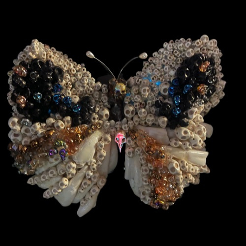Butterfly-Bones-Glowing-in-the-Dark