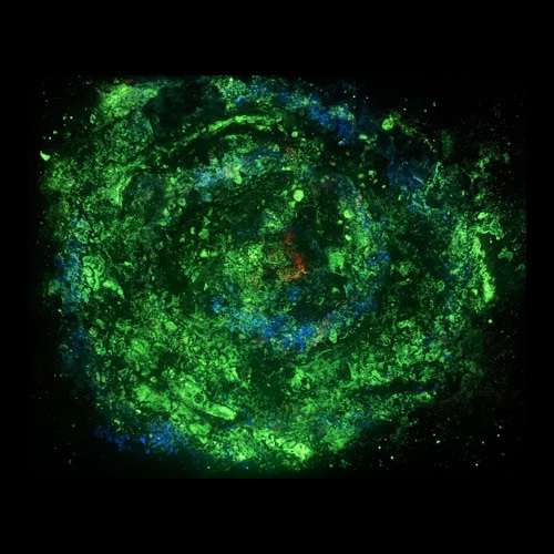 Galaxy 9.2023 Glowing in the Dark
