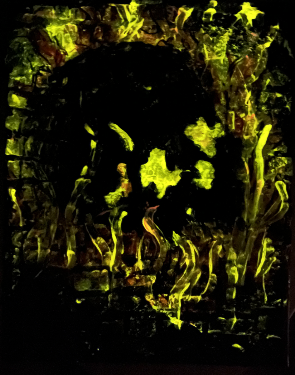 Walls Skull Fire Glowing in the Dark