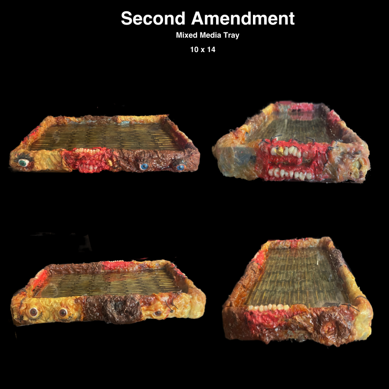 The Second Amendment Project