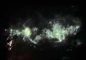 Little Gem Nebula GNC: 45.2018 glowing in the dark